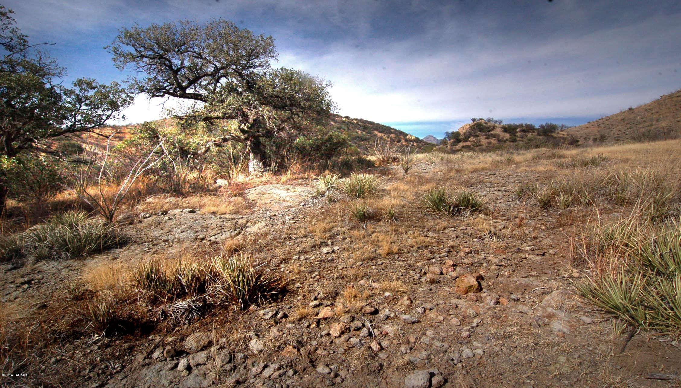 Canyon Road Patagonia, AZ 85624 - Photo 7 of 34