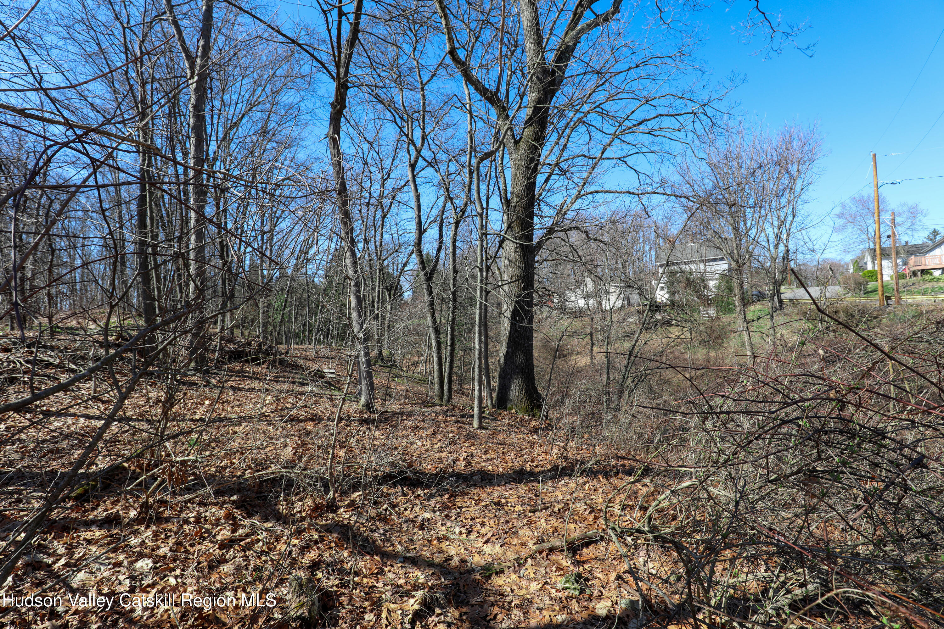 9-23 Rondout Street Kingston, NY 12401 - Photo 3 of 7 a backyard of a house with lots of green space