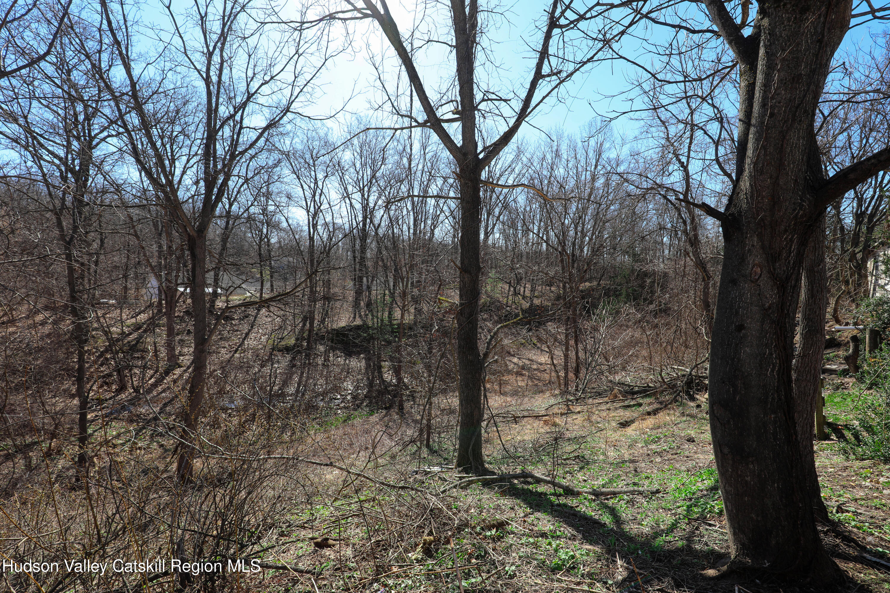9-23 Rondout Street Kingston, NY 12401 - Photo 6 of 7 a view of a forest filled with trees