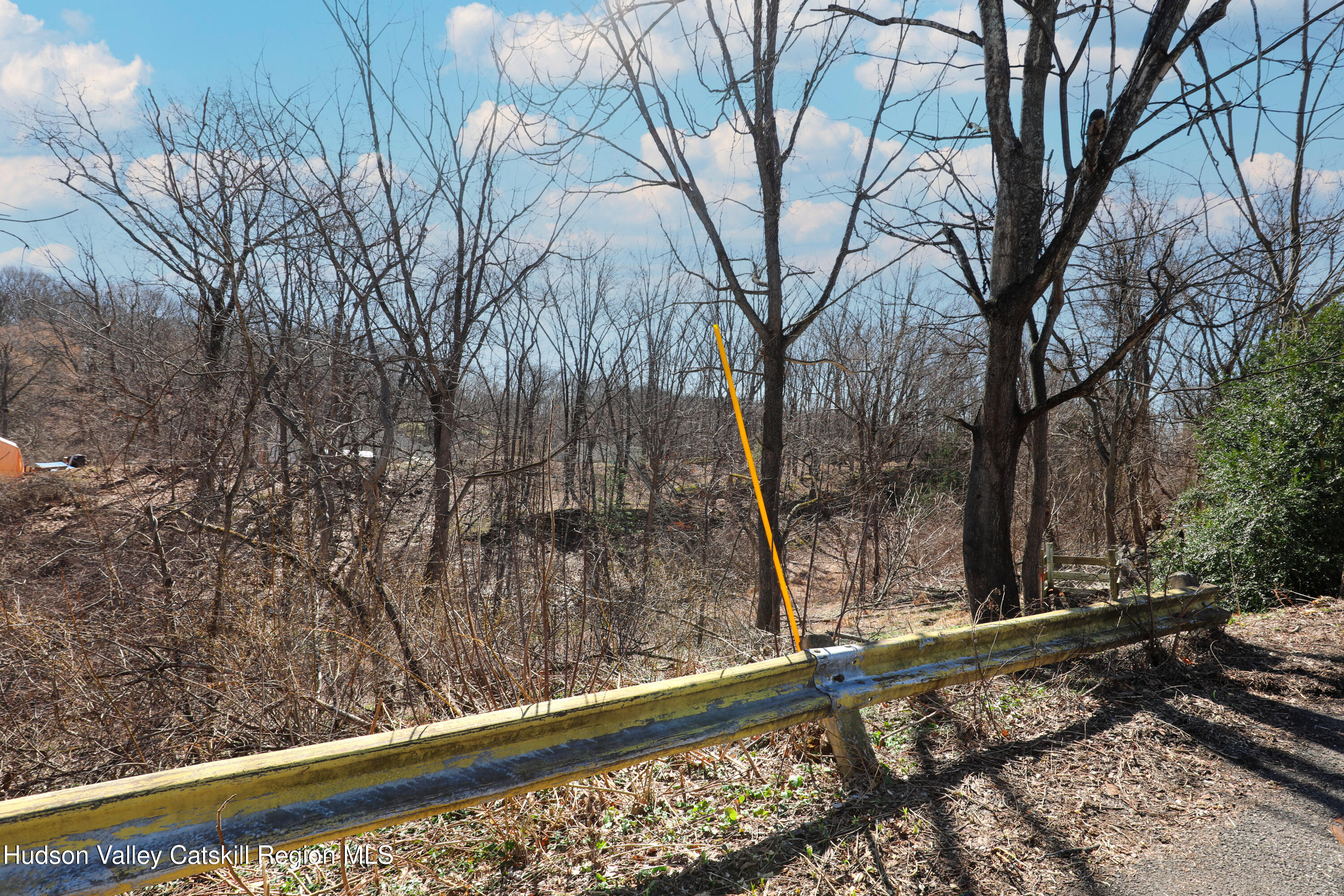 9-23 Rondout Street Kingston, NY 12401 - Photo 7 of 7 a view of a forest filled with trees