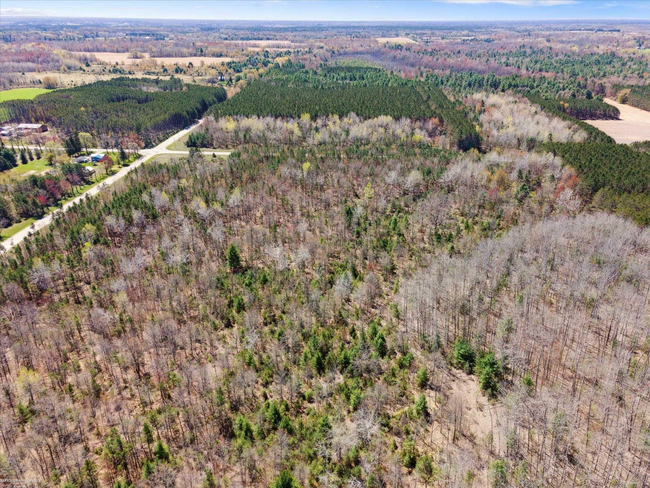 Hottis Road Whittemore, MI 48770 - Photo 15 of 21