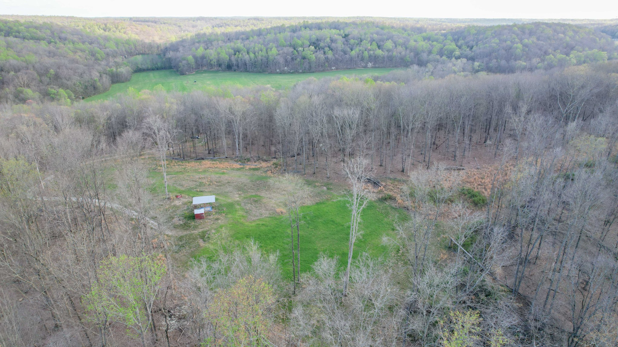 0 Bell Hollow Road Vanleer, TN 37181 - Photo 20 of 31 Gallery Image 20