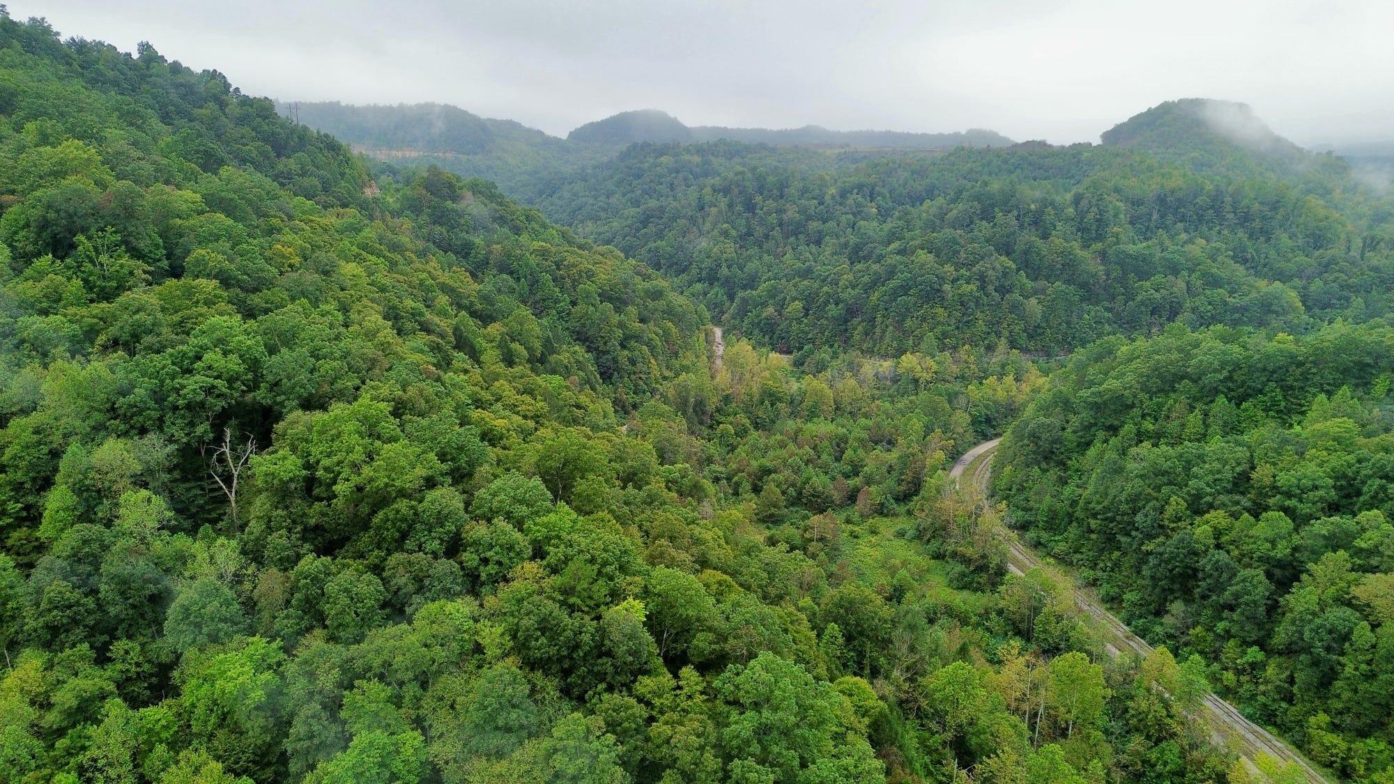 9074 Wolf Creek Road Pilgrim, KY 41250 - Photo 58 of 133 Aerial of Property