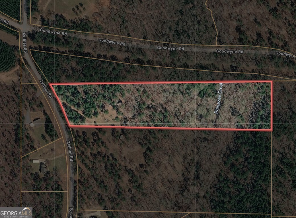 537 Zellner Road Forsyth, GA 31029 - Photo 3 of 3 Gallery Image 3