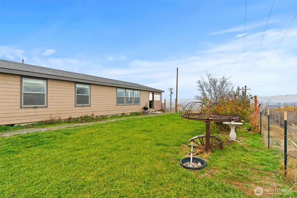 a view of a backyard with couches plants and large trees