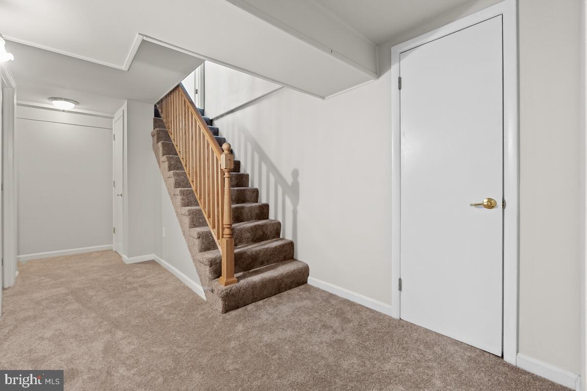7906 Yellow Springs Road Frederick, MD 21702 - Photo 20 of 35 Lower Level