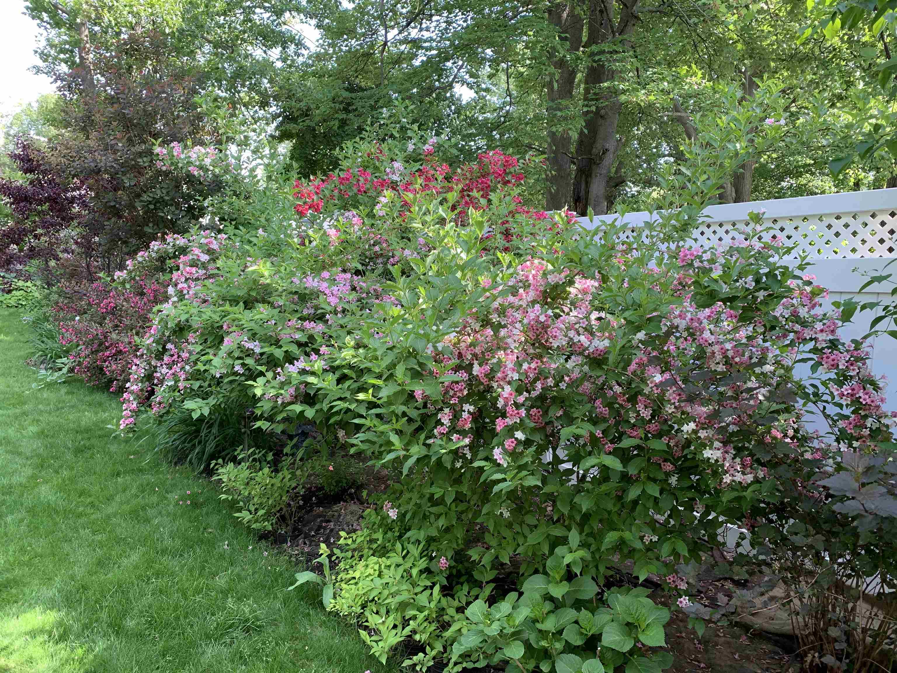 143 Woodbury Road Burlington, VT 05408 - Photo 25 of 32 Gallery Image 25