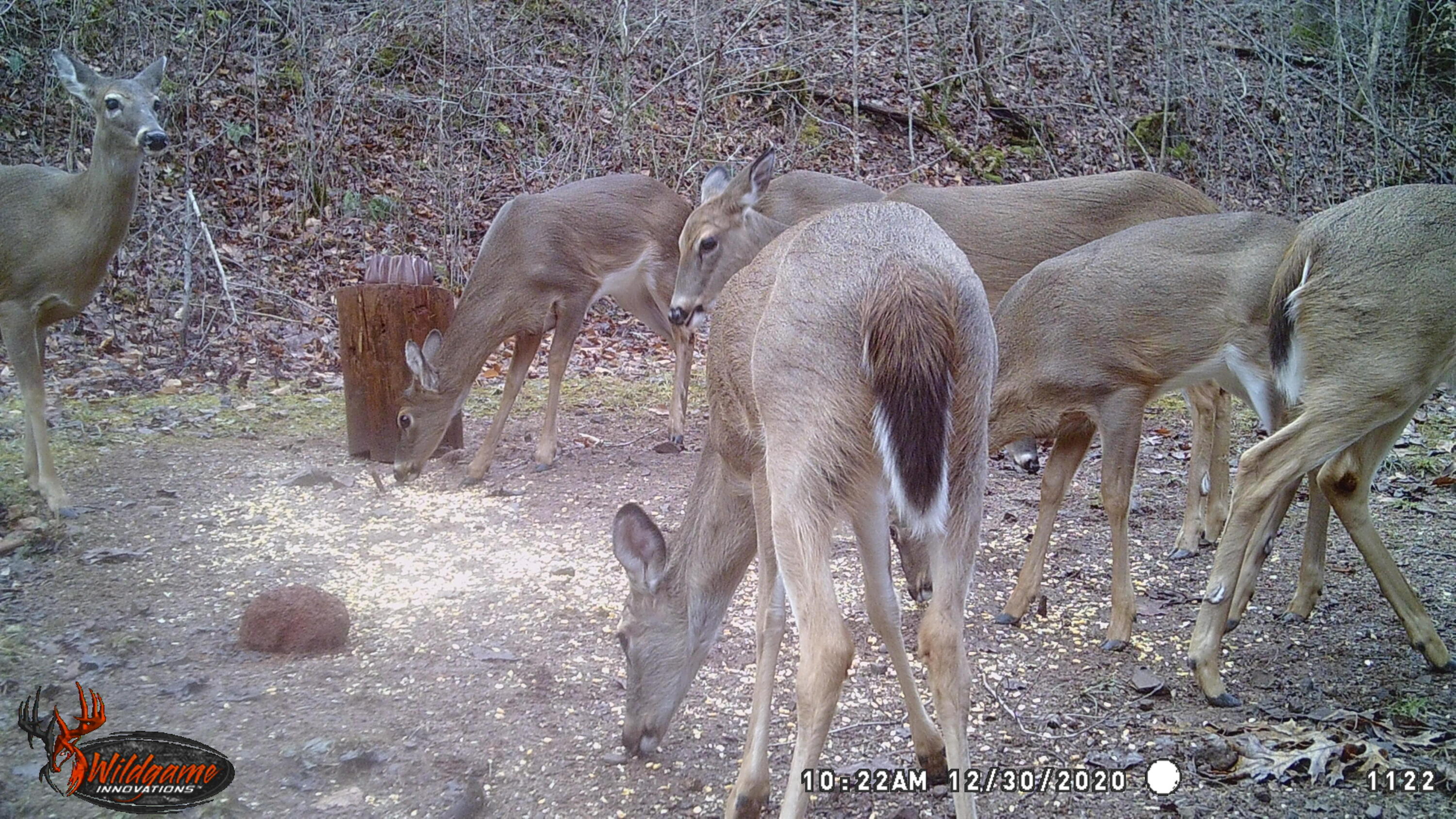 717 Three Point Road Vonore, TN 37885 - Photo 14 of 31 image1 (1)