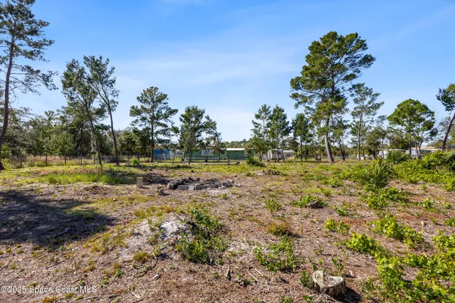 a view of a yard with a tree