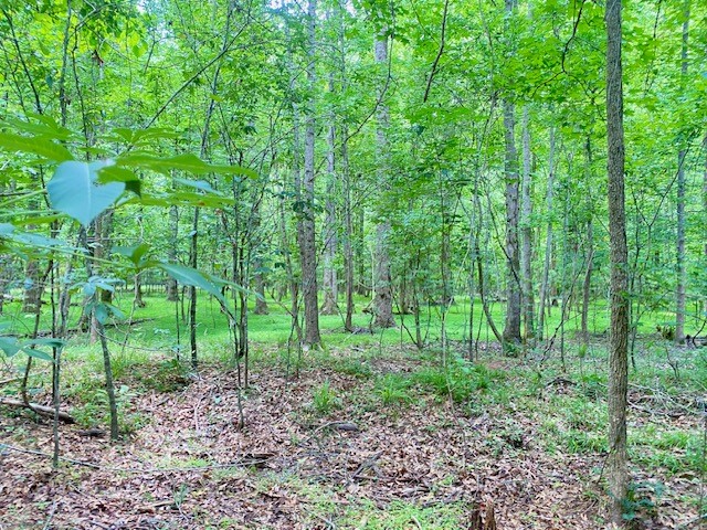 0 Pete Johnson Road Tignall, GA 30668 - Photo 28 of 43