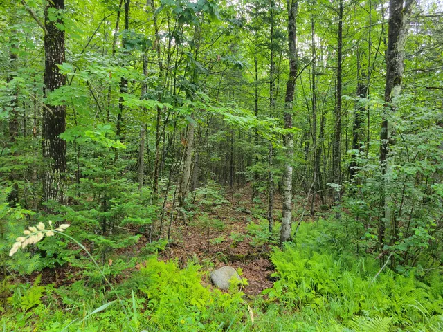 $49,500 | 23 Union Hill Road, Stow, ME 04037