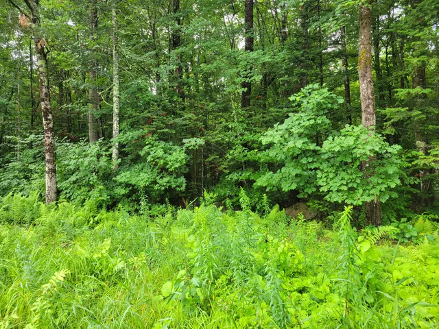 $49,500 | 23 Union Hill Road, Stow, ME 04037