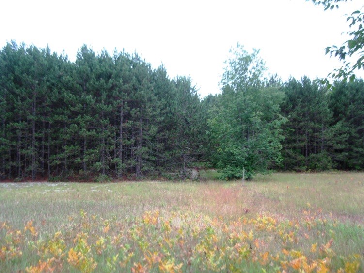 8676 Mockerman Road Southeast Fife Lake, MI 49633 - Photo 16 of 65 1821812-15.JPG
