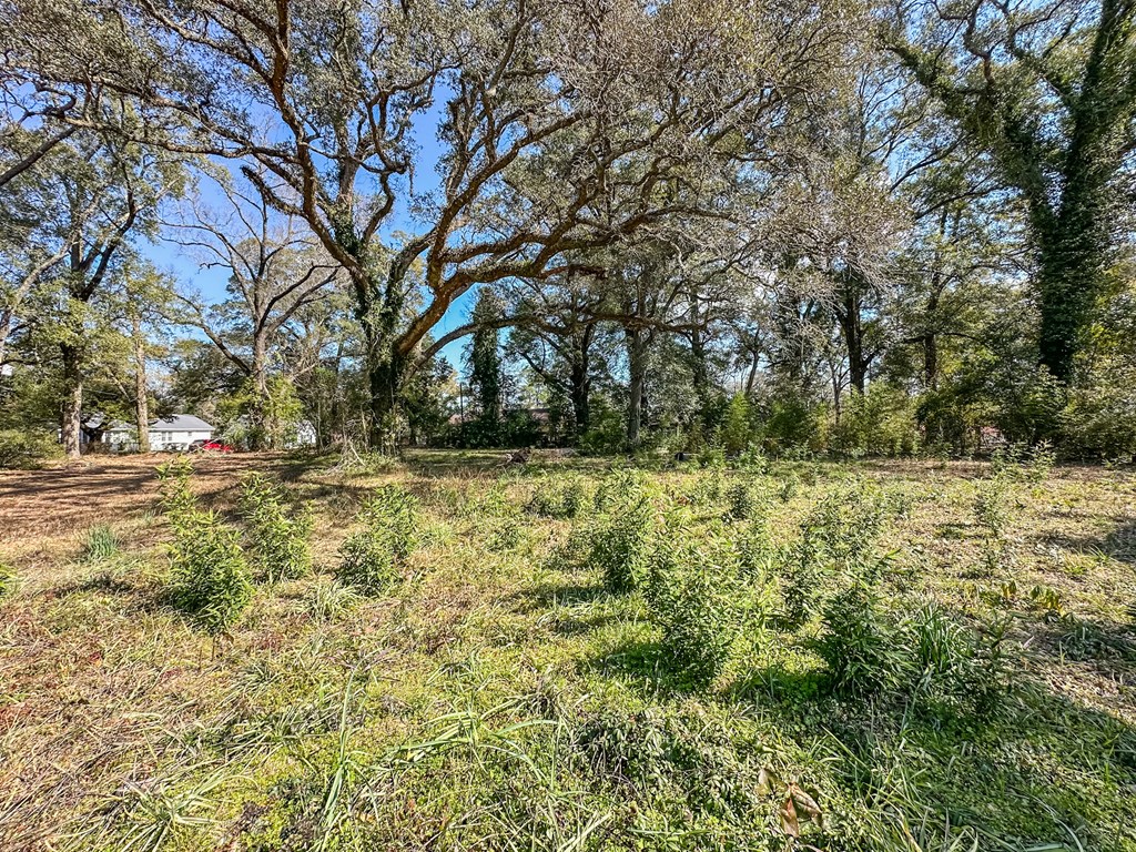 0 North Morris Street Geneva, AL 36340 - Photo 6 of 6
