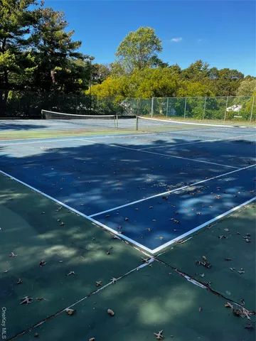 a view of a park with large trees