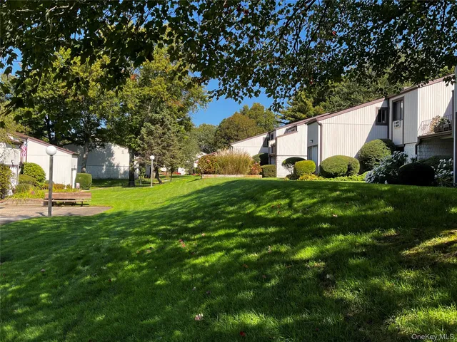 a view of a yard with plants and large trees