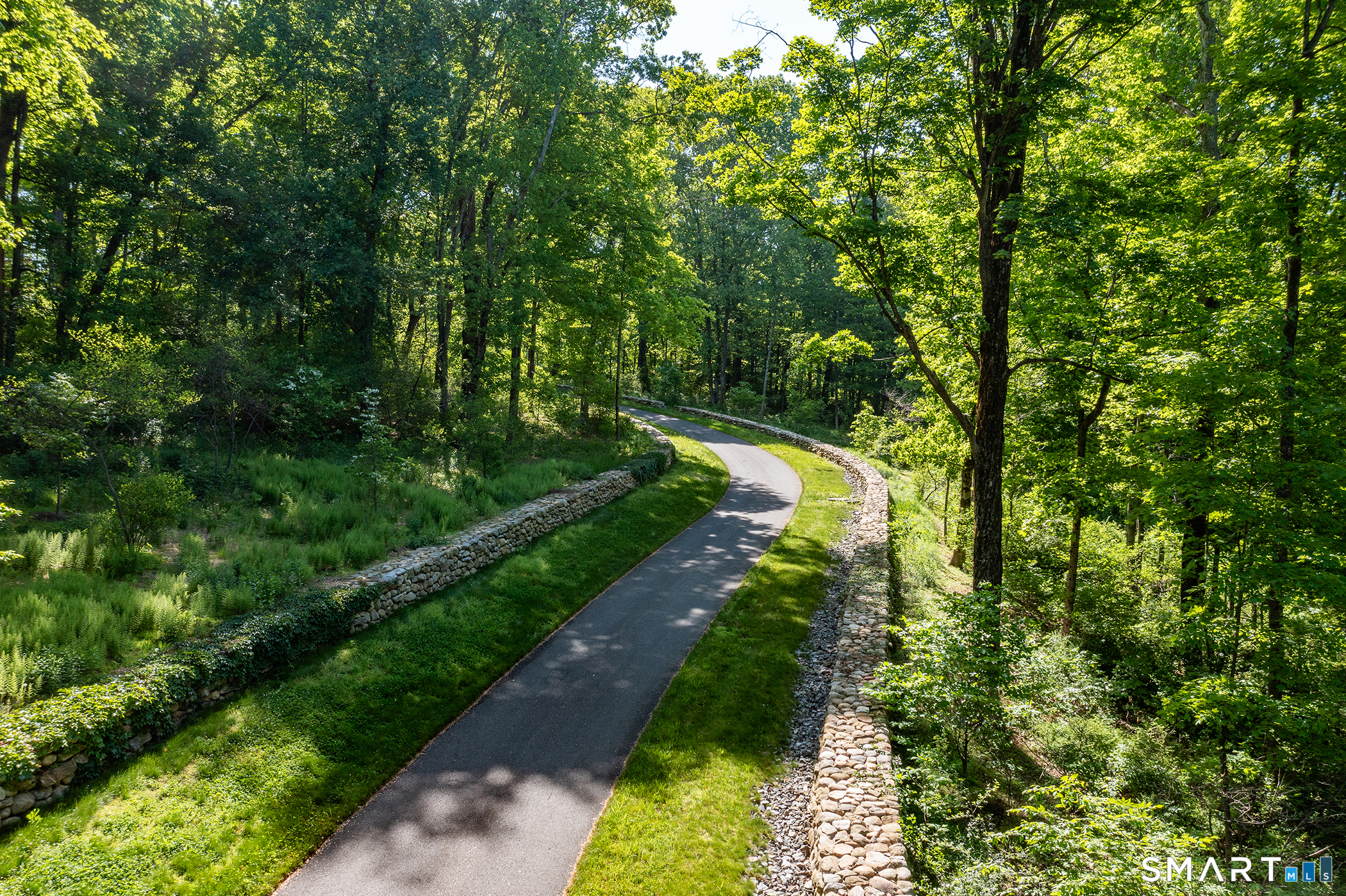 20 Painter Hill Road Roxbury, CT 06783 - Photo 13 of 18 a lush green forest with lots of trees