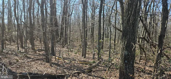 $28,000 | Lot 92 Antelope Trail, Winchester, VA 22602