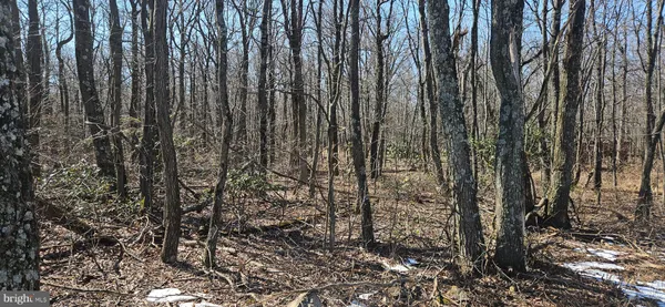 $28,000 | Lot 92 Antelope Trail, Winchester, VA 22602