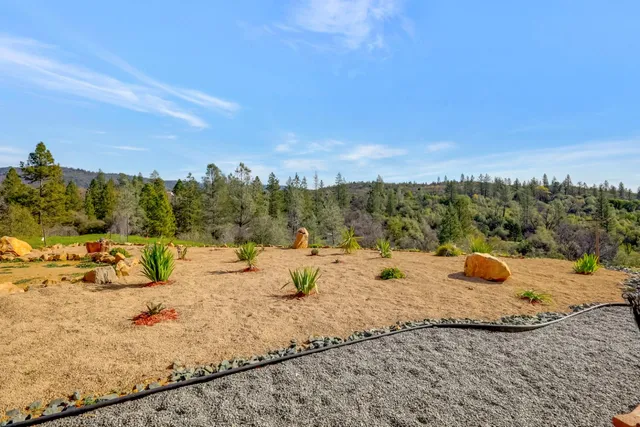 a living room with furniture and a dining table with wooden floor