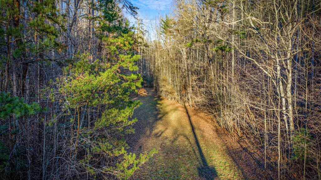 178 Arp Road Mineral Bluff, GA 30559 - Photo 65 of 75
