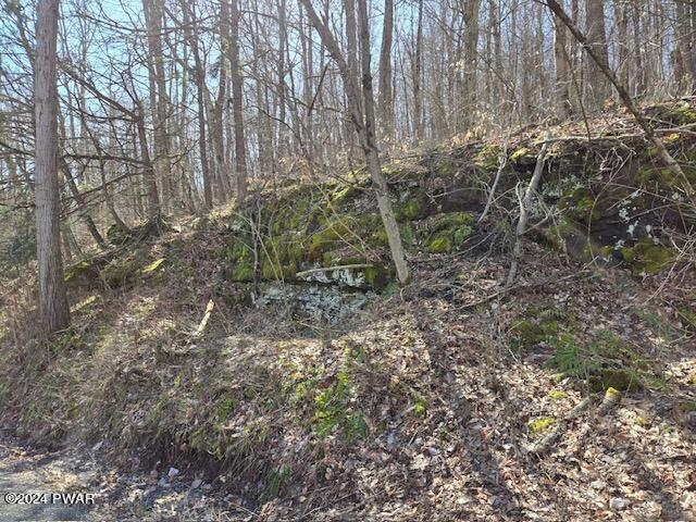 546 Scott Center Road Starrucca, PA 18462 - Photo 3 of 16 Attachment