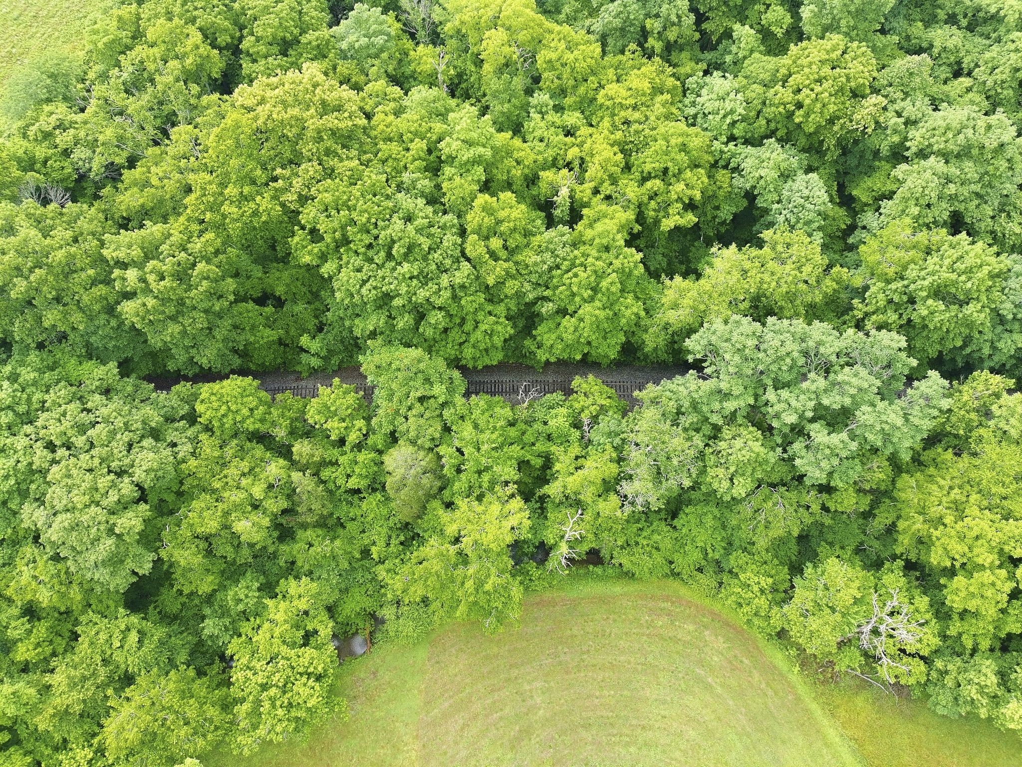2907 Dodson Gap Road Culleoka, TN 38451 - Photo 24 of 29