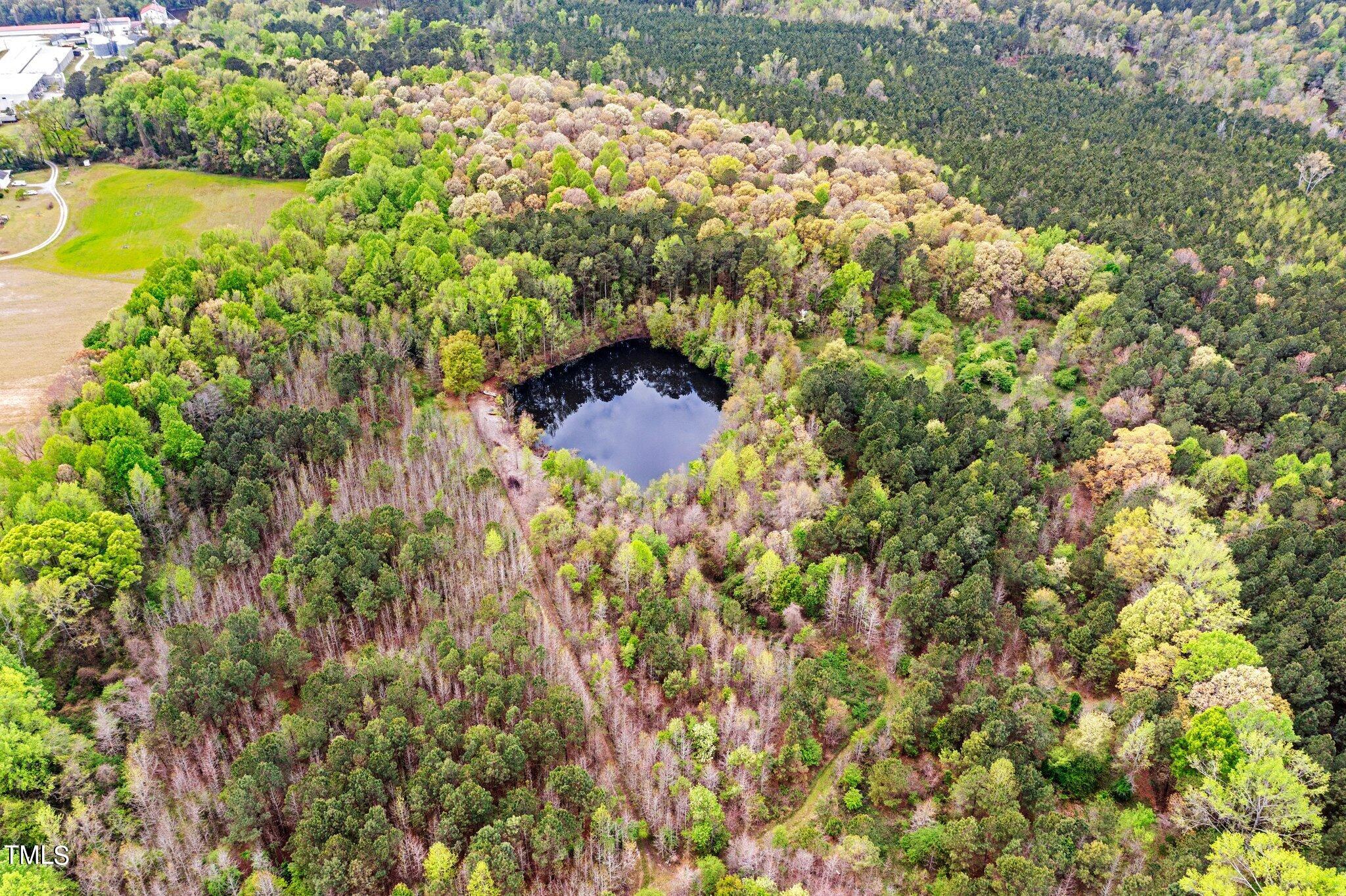 0 Atkinson Mill Road Middlesex, NC 27557 - Photo 12 of 12 12-web-or-mls-DJI_0778