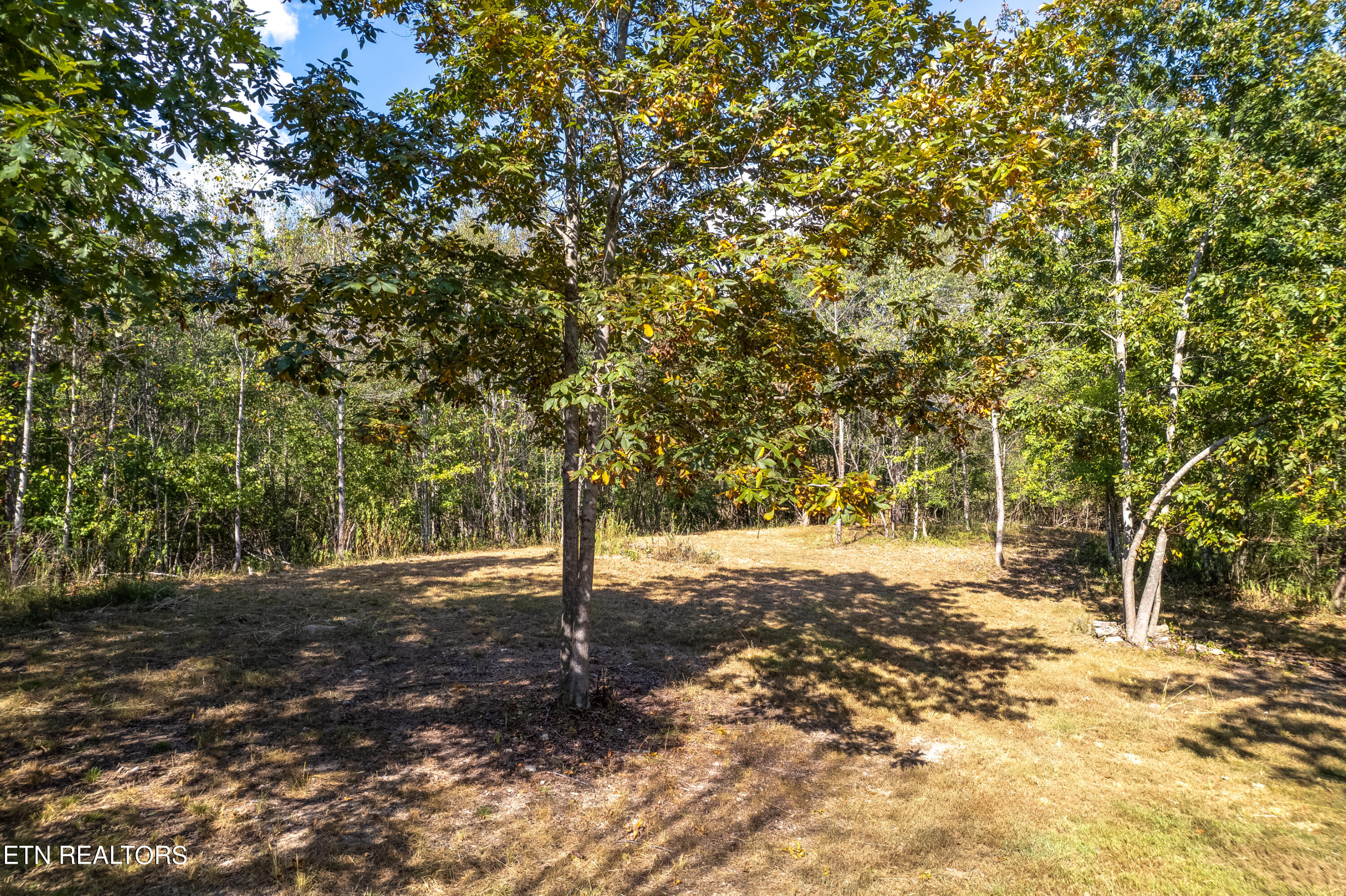 1618 James Ferry Road Kingston, TN 37763 - Photo 1 of 14 Potential Building Site