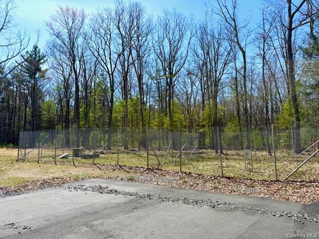 42 Devlin Road Highland Lake, NY 12743 - Photo 11 of 17