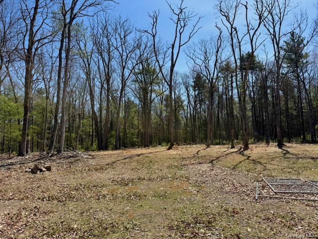 42 Devlin Road Highland Lake, NY 12743 - Photo 13 of 17