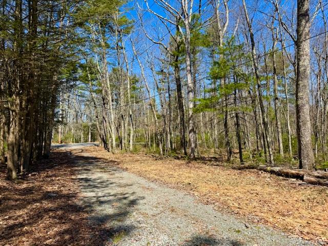 42 Devlin Road Highland Lake, NY 12743 - Photo 2 of 17