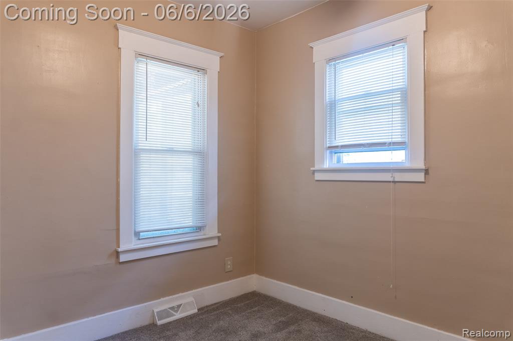 207 Richter Street River Rouge, MI 48218 - Photo 18 of 36