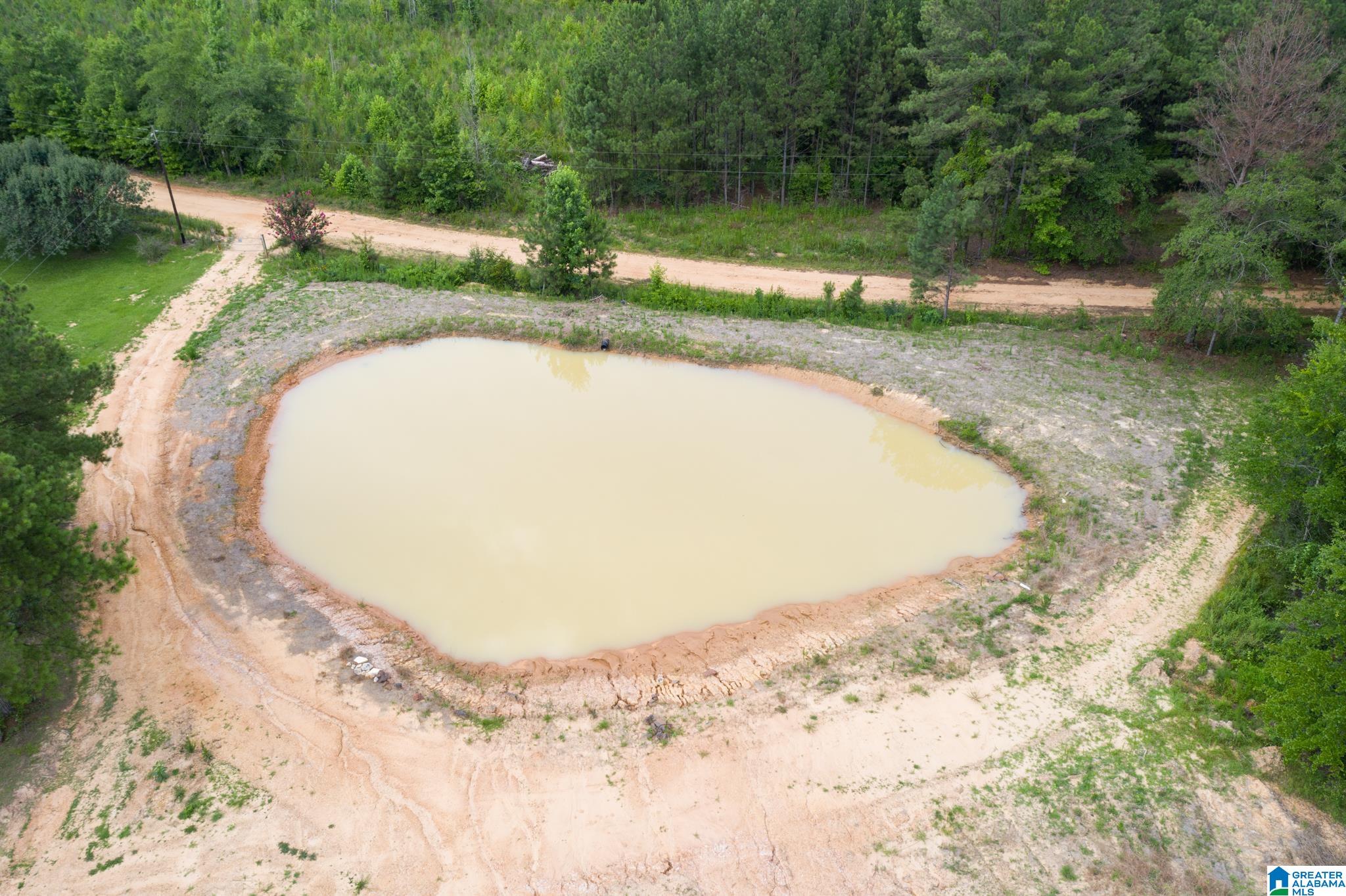 3025 Potato Patch Creek Road Marion, AL 36756 - Photo 8 of 24