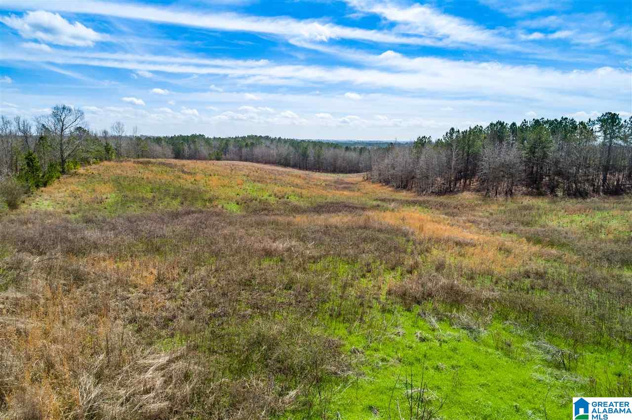 4199 Cowpens Road Alexander City, AL 35010 - Photo 14 of 50