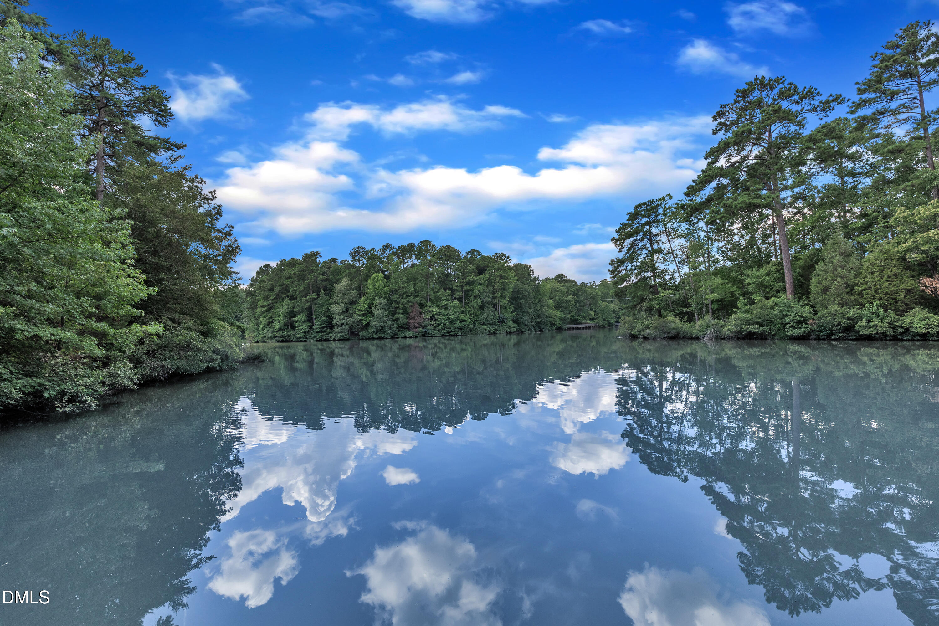 8004 Broad Street Raleigh, NC 27613 - Photo 5 of 11 a view of a lake in between two of trees