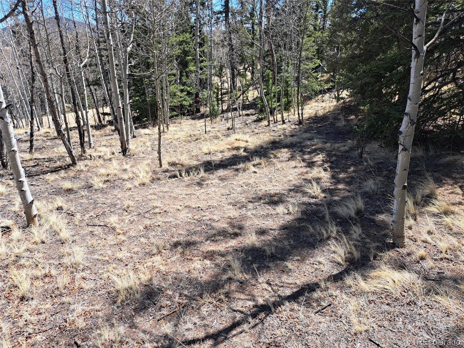 730 Tepee Trail Como, CO 80456 - Photo 6 of 29