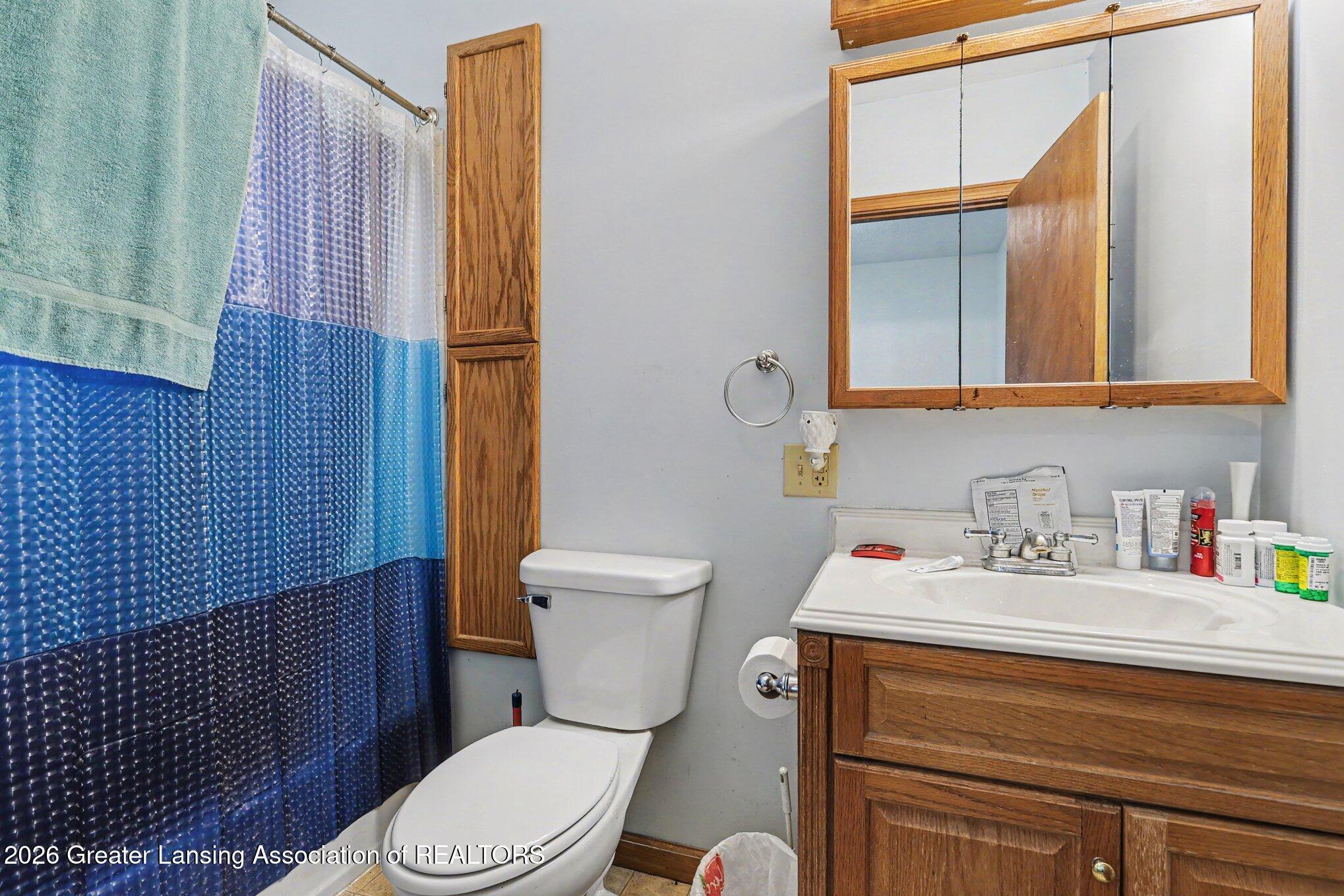 5645 Rossman Road Onondaga, MI 49264 - Photo 11 of 32 Bathroom