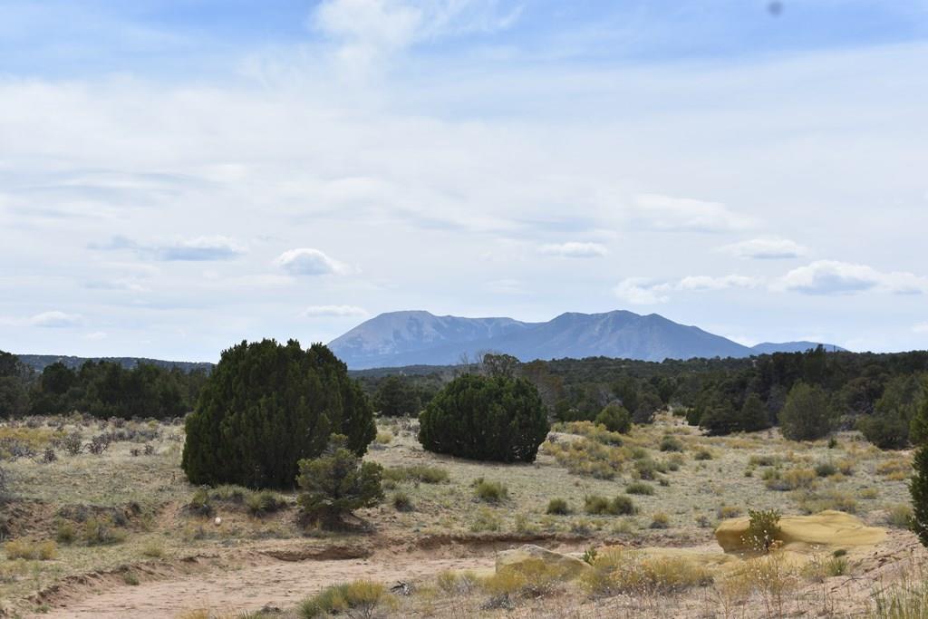 87-119 Twin Lakes Road Walsenburg, CO 81089 - Photo 9 of 21