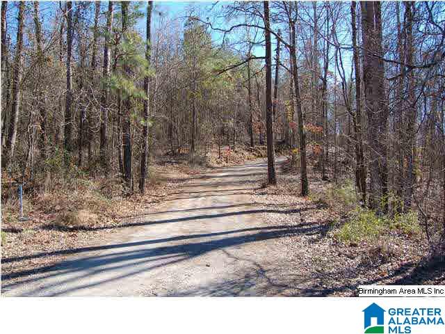 5 Highway Ac Al, Unit 96 23 Woodstock, AL 35188 - Photo 17 of 20
