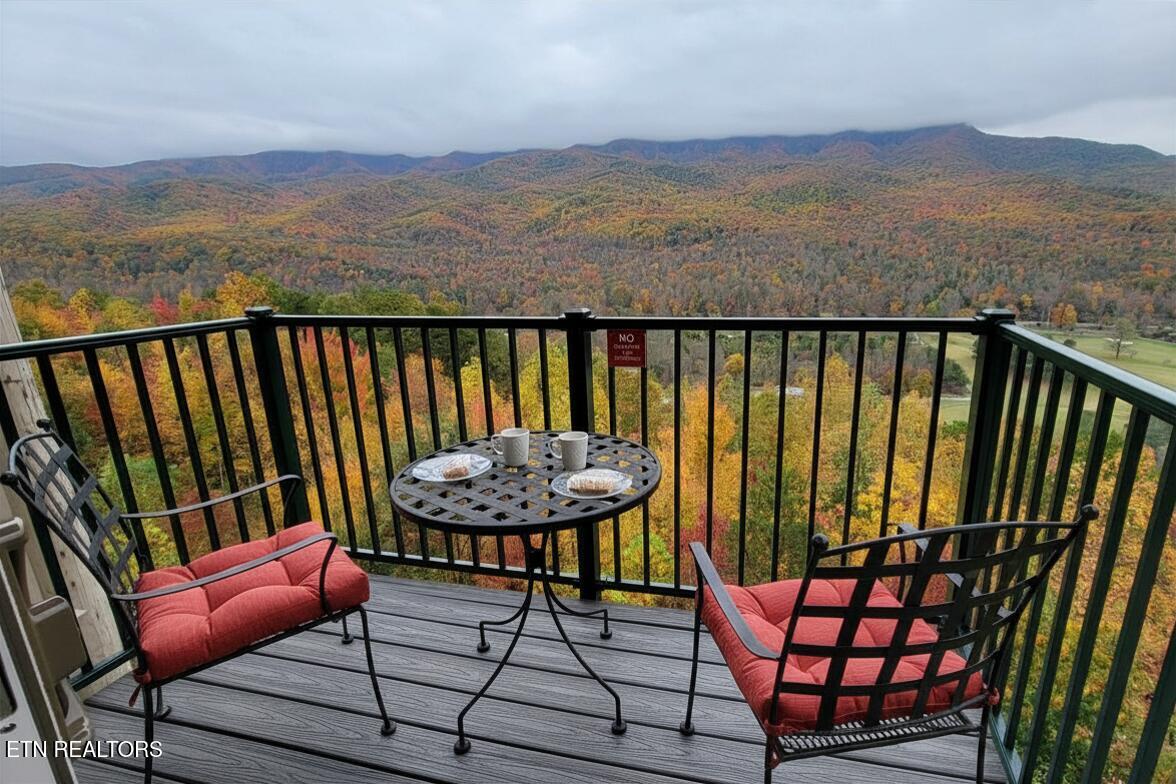 3710 Weber Road, Unit C203 Gatlinburg, TN 37738 - Photo 8 of 36 Deck Mtn View