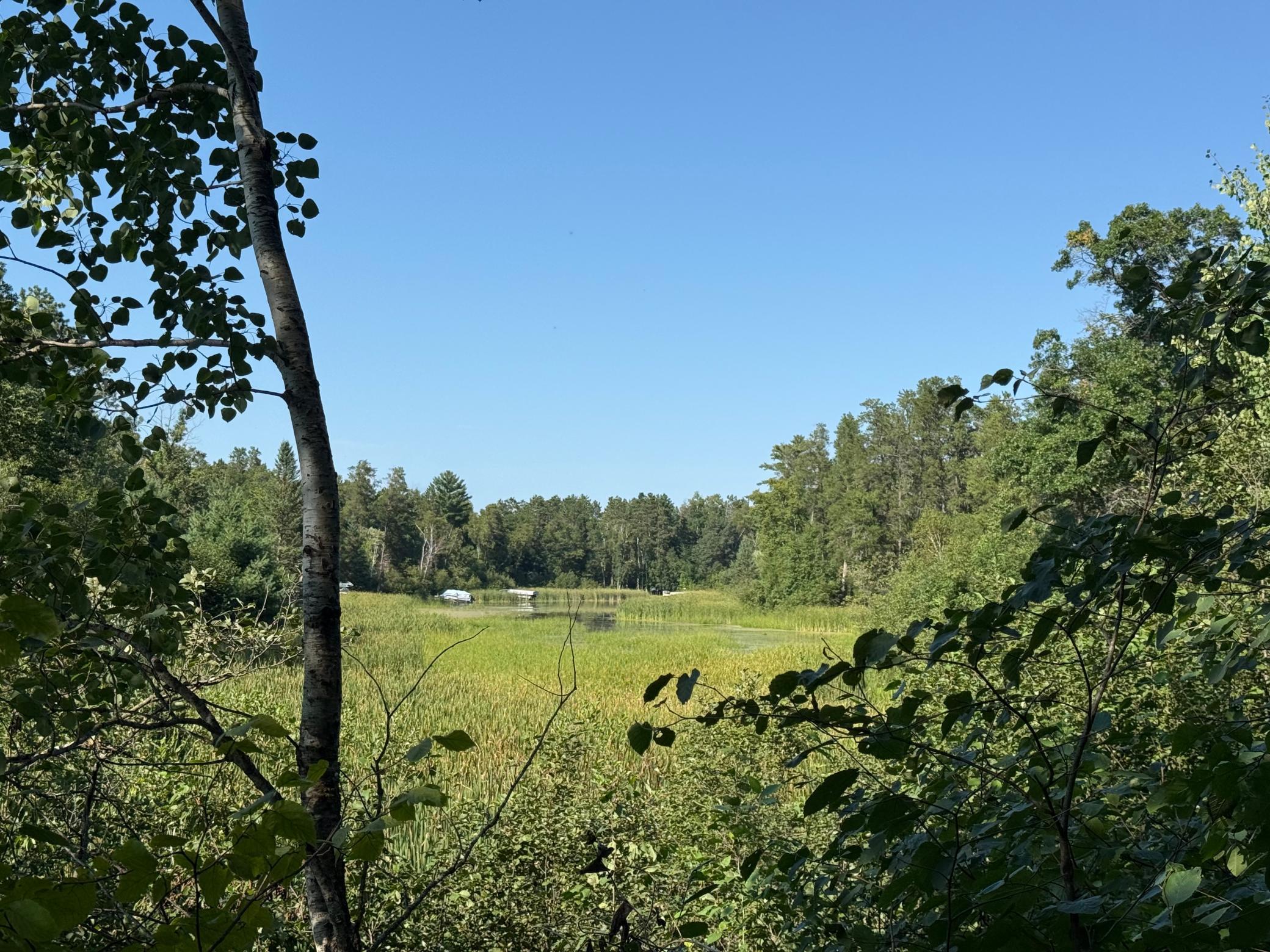 Tbd Tbd Azalea Road Pillager, MN 56473 - Photo 1 of 1 Gallery Image 1