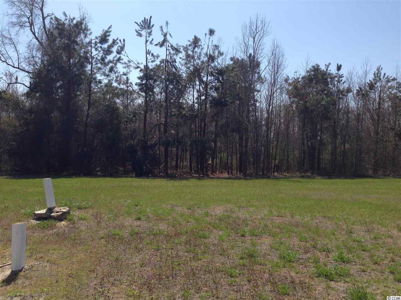 2808 Joyner Swamp Road Galivants Ferry, SC 29544 - Photo 19 of 22 Gallery Image 19