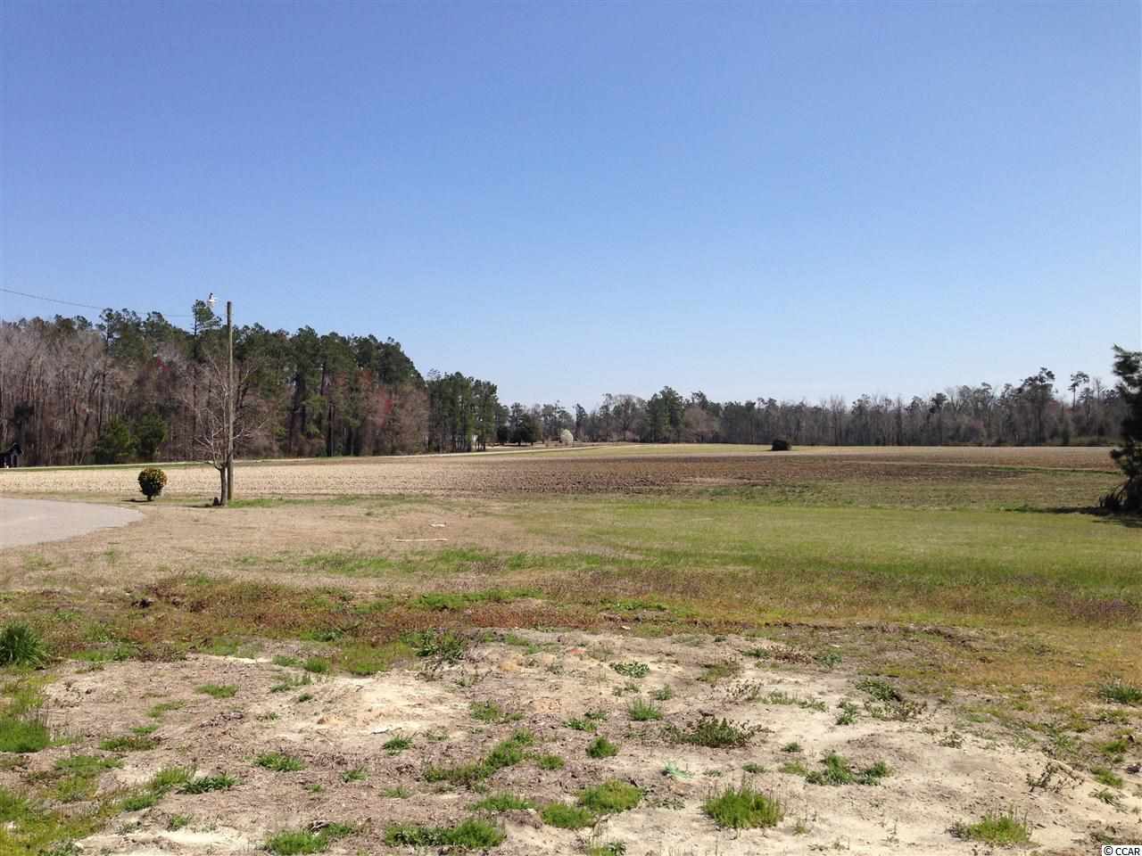 2808 Joyner Swamp Road Galivants Ferry, SC 29544 - Photo 22 of 22 Gallery Image 22