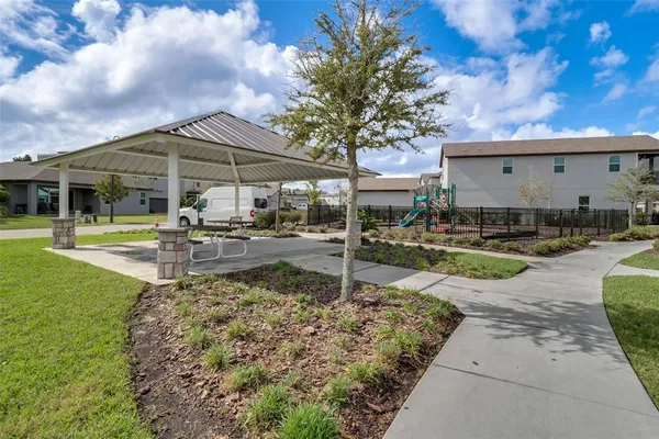 a swimming pool view with a palm tree