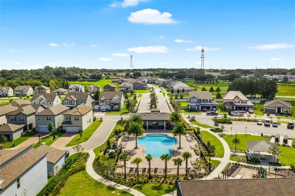 a view of a garden with a tree