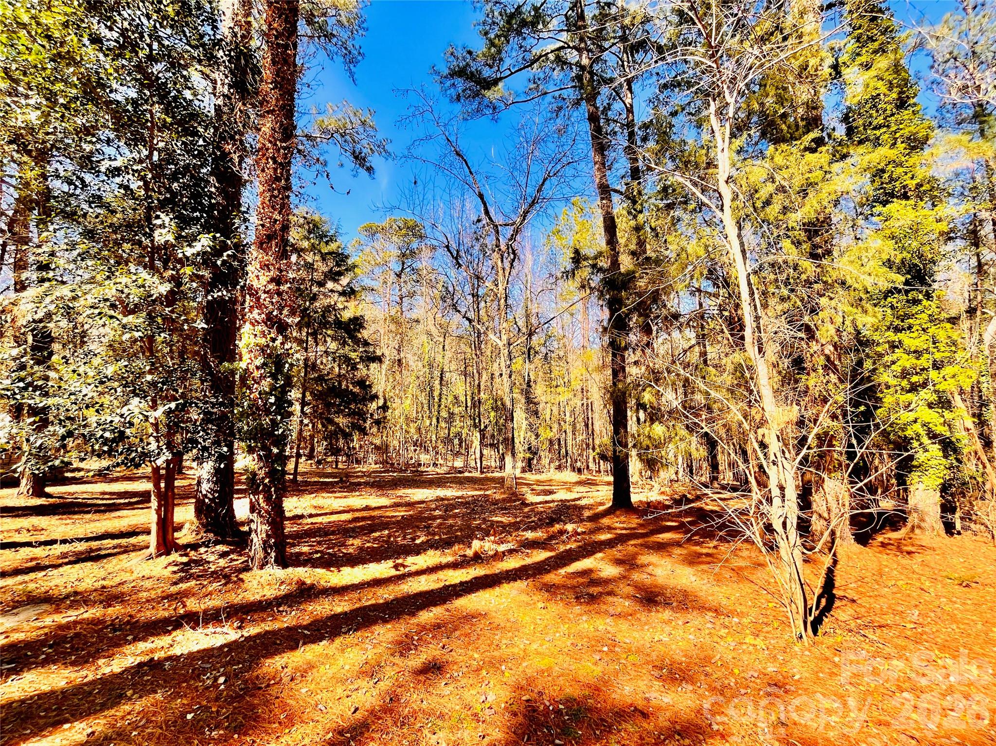 1301 Winterwood Road Columbia, SC 29203 - Photo 44 of 46