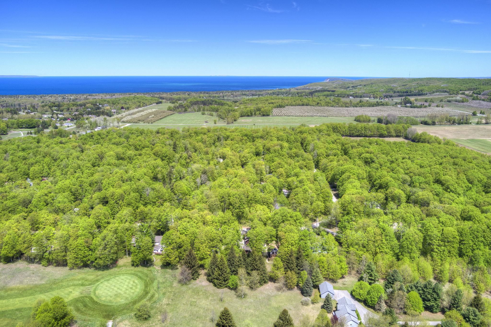 4451 Hemlock Road, Unit LOT: 47 Cedar, MI 49621 - Photo 3 of 41