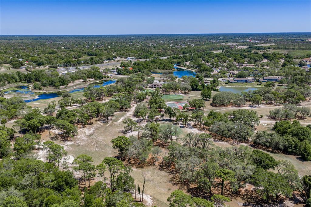 7435 Kilbride Court Weeki Wachee, FL 34613 - Photo 63 of 67 an aerial view of residential houses with outdoor space and trees