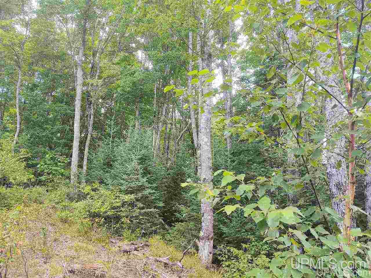 Tbd Connors Road Iron River, MI 49935 - Photo 10 of 34